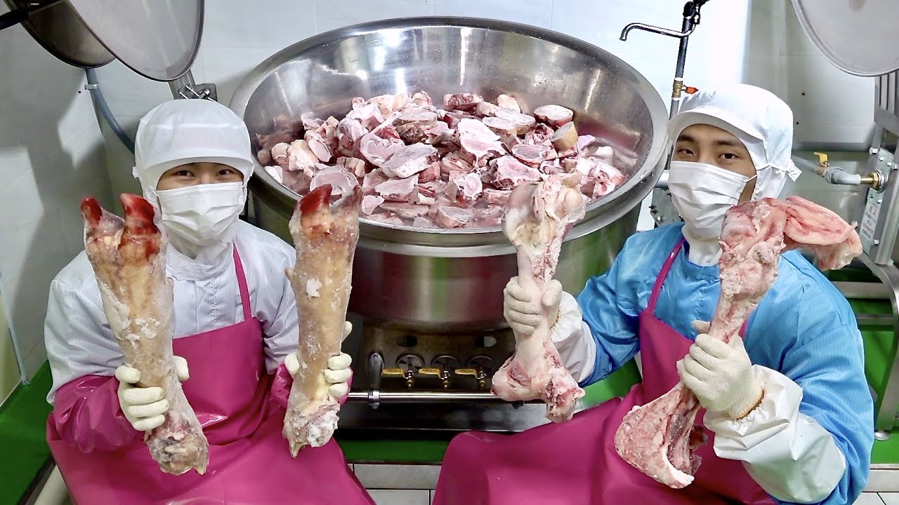 소뼈를 대량으로 끓이는 한국의 사골곰탕 공장